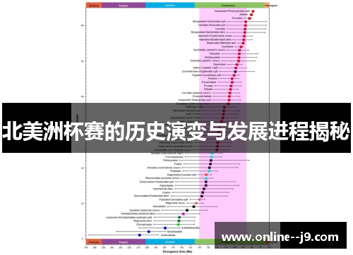 北美洲杯赛的历史演变与发展进程揭秘