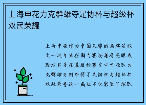 上海申花力克群雄夺足协杯与超级杯双冠荣耀